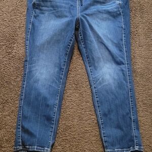 Torrid Women's Straight Leg Blue Jeans Boyfriend Style